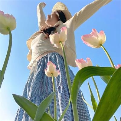 野蛮师姐在线观看封面