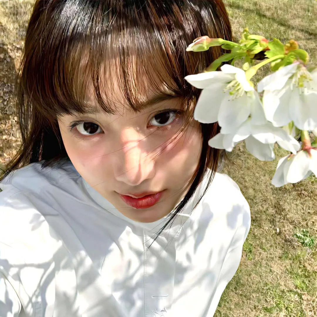 女朋友1955在线观看封面